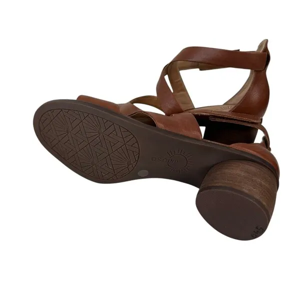 Brioso Womens Brown Leather Strappy Sandals 2.5&quot; Heel Made In Brazil SZ 8.5M