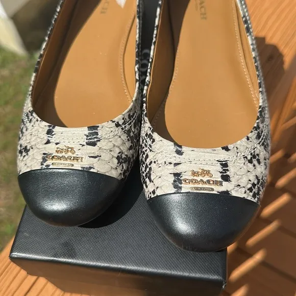 Coach Women’s Chelsea Blue Snakeskin Embossed Matte Ballet Flats