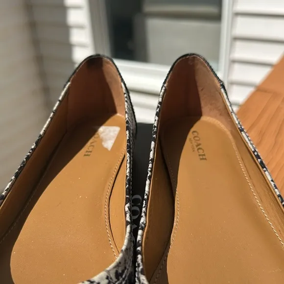 Coach Women’s Chelsea Blue Snakeskin Embossed Matte Ballet Flats