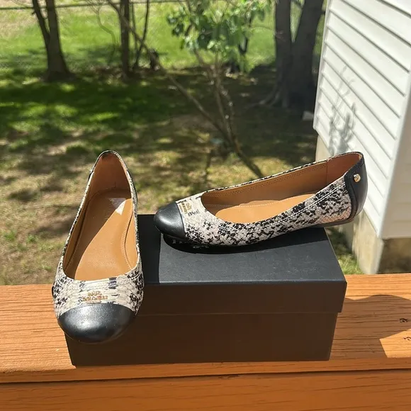 Coach Women’s Chelsea Blue Snakeskin Embossed Matte Ballet Flats