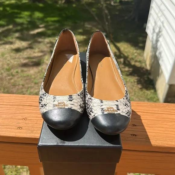 Coach Women’s Chelsea Blue Snakeskin Embossed Matte Ballet Flats