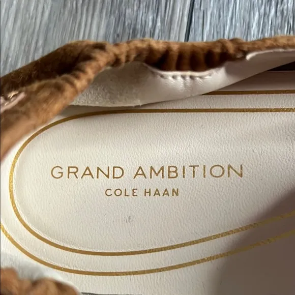 Cole Haan Grand Ambition Brown Loafers with Classic Strap Design