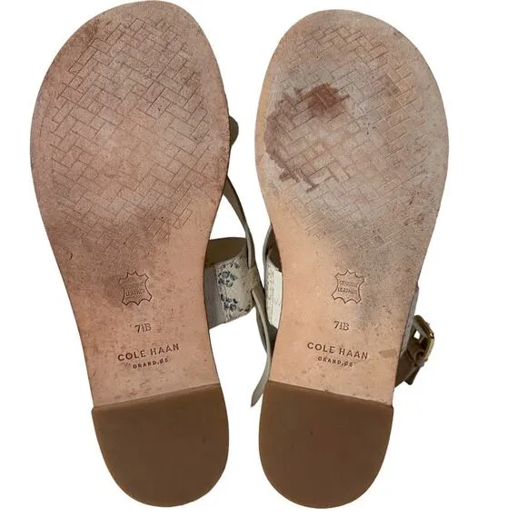 Cole Haan Grand.360 OS Anica Cream Snake Print Leather Thong Sandals Size 7.5B