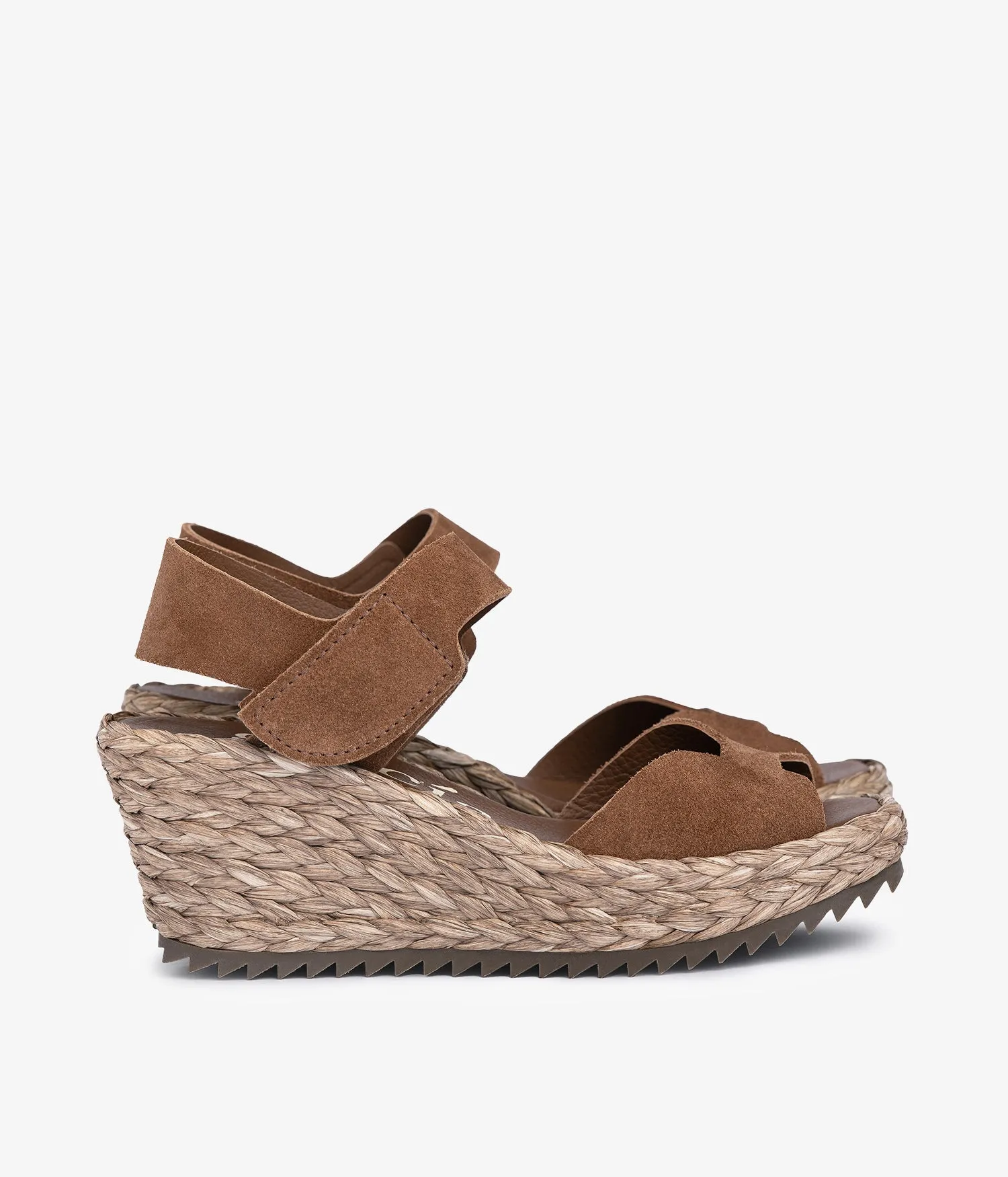 fama / hazelnut castoro