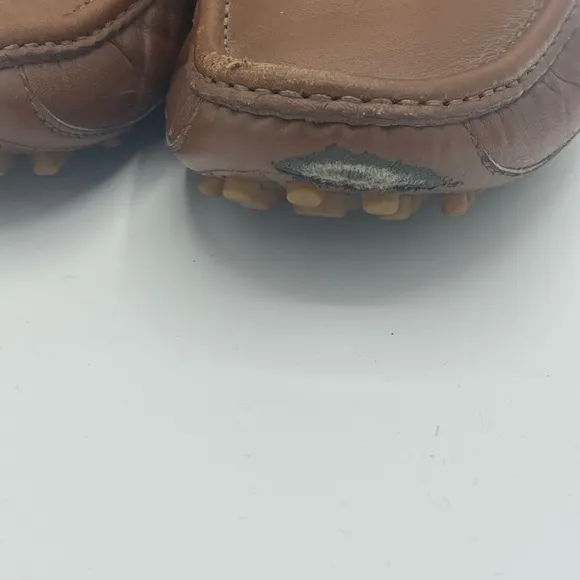 Gucci Brown and Green Horsebit Loafers