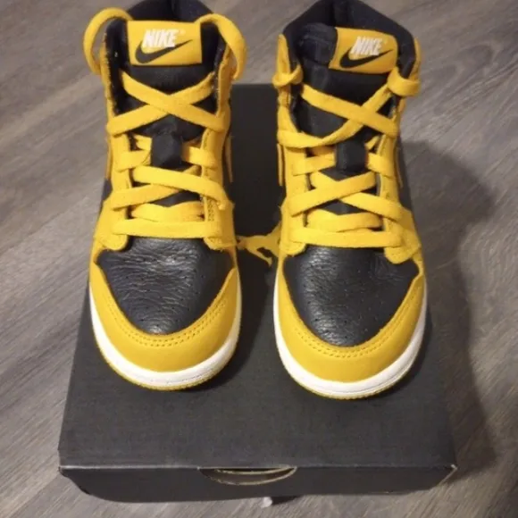 Jordan 1 Pollen