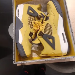 Jordan 4s Men Lighting Size 12 OBO