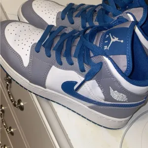 Jordan Sneakers in Blue and White