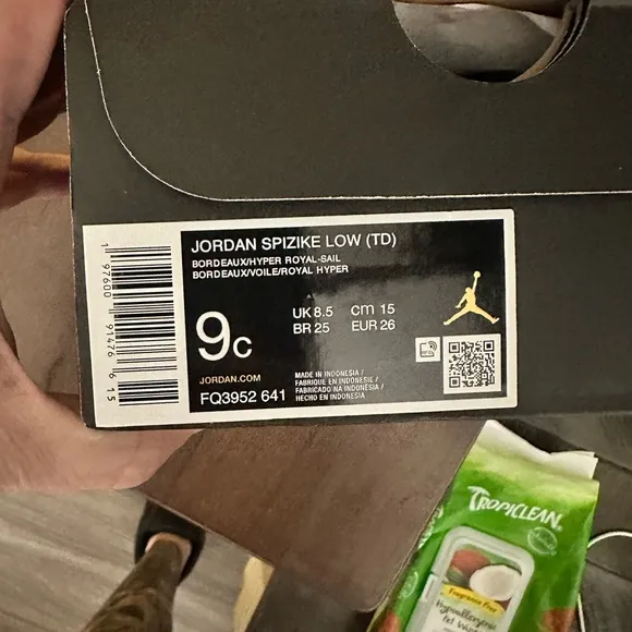 Kids Jordan Spizike Low (TD) Maroon Sneakers