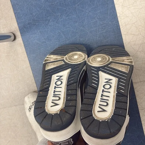 Louis Vuitton skates