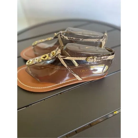 NWT Coach Sieannah Snake  Print Leather Thong sandals 11B