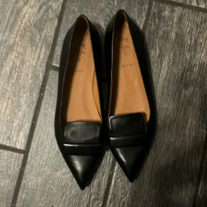 Point Toe Flats