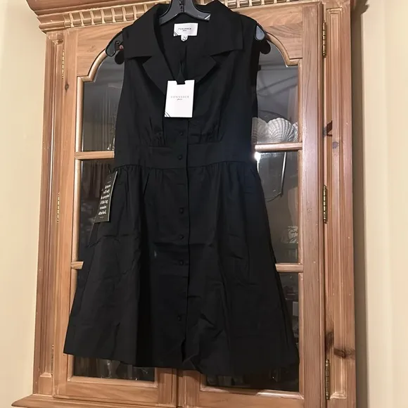 POMANDER PLACEBlack Sleeveless Noelle Shirt Dress
